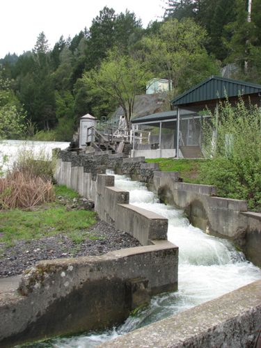 Van Arsdale Fish Station