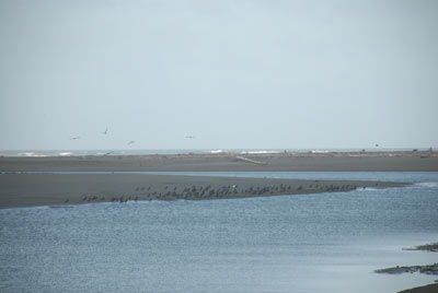 Eel River mouth, May 2008