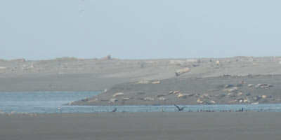 Eel River mouth, May 2008